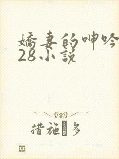 娇妻的呻吟1—28小说