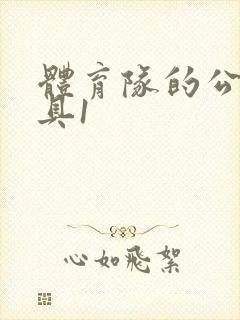 体育队的公用玩具1