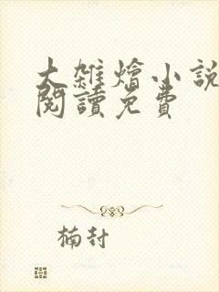 大杂烩小说全集阅读免费封面