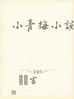 小青梅小说