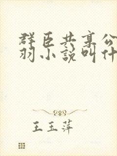 群臣共享公主银羽小说叫什么