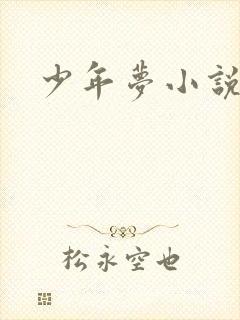 少年梦小说