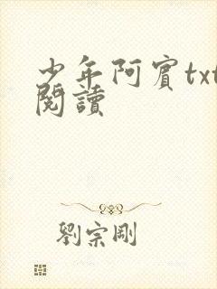 少年阿宾txt阅读