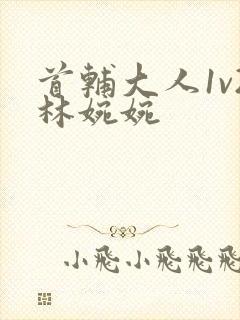 首辅大人1v2林婉婉封面