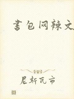 书包网辣文合集