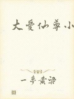 大爱仙尊小说封面