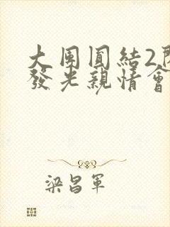 大团圆结2闪闪发光亲情会封面