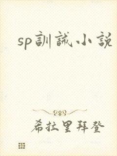 sp训诫小说