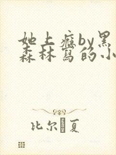 她上瘾by黑暗森林写的小说免费阅读无弹窗