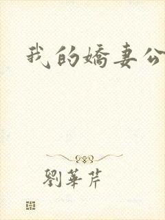 我的娇妻公务员