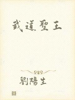 武道圣王