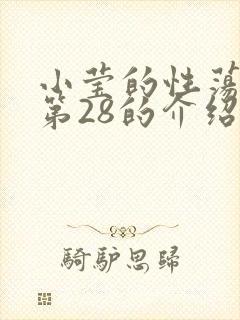 小莹的性荡生活第28的介绍