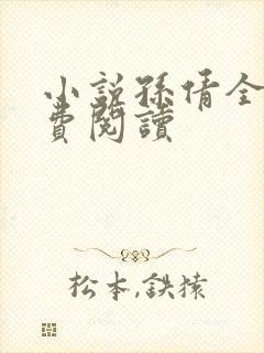 小说孙倩全文免费阅读封面