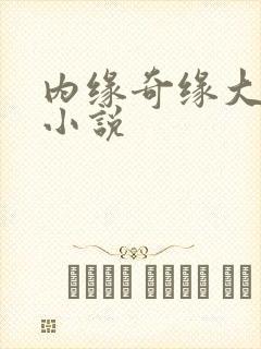 内缘奇缘大团圆小说封面