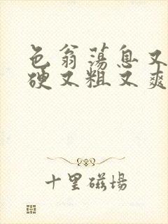 色翁荡息又大又硬又粗又爽