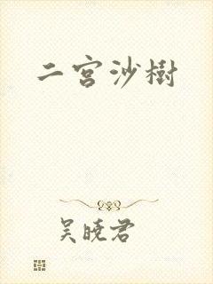 二宫沙树封面