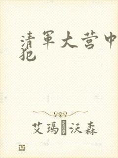 清军大营中的女犯封面