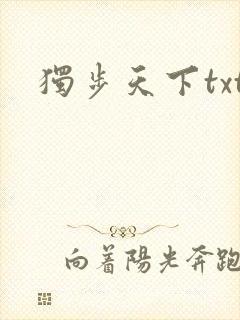 独步天下txt