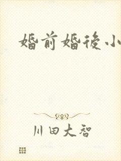 婚前婚后小说封面
