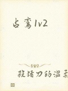 占鸾1v2