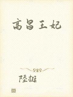 高昌王妃封面