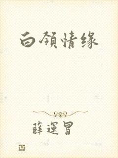 白领情缘