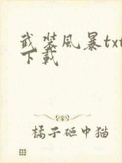 武装风暴txt下载