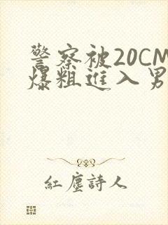 警察被20CM爆粗进入男男软件