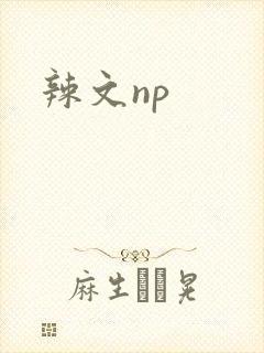 辣文np