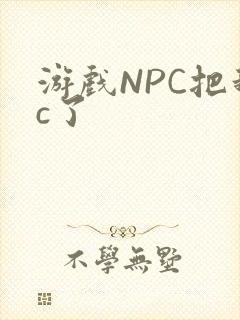 游戏NPC把我c了