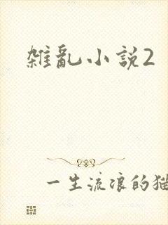 杂乱小说2