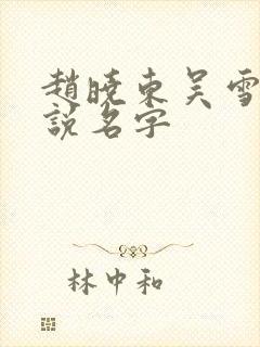 赵晓东吴雪晴小说名字