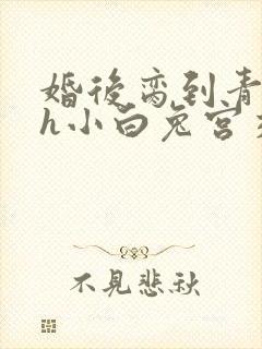 婚后脔到青梅哭h小白兔宫交h封面