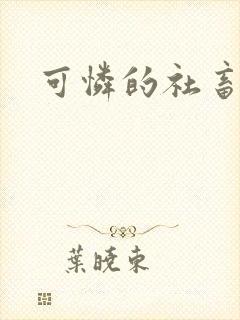 可怜的社畜分手