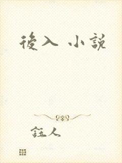 后入 小说封面