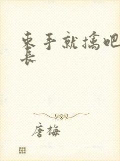 束手就擒吧韩队长