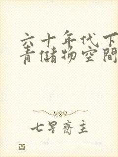 六十年代下乡知青储物空间封面