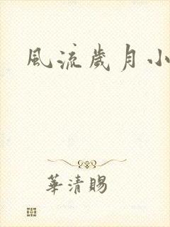 风流岁月小说封面