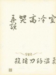 弄哭高冷室友小说