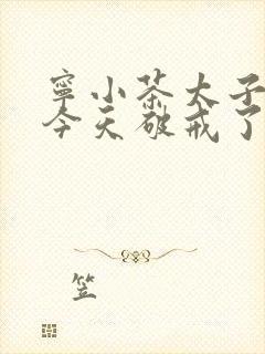宁小茶太子殿下今天破戒了吗免费阅读