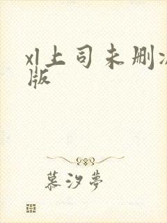 xl上司未删减版