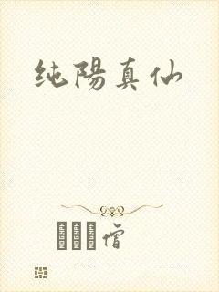 纯阳真仙