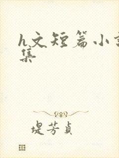 h文短篇小说合集封面