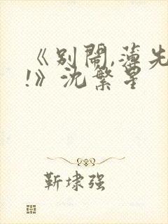 《别闹,薄先生!》沈繁星