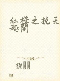 红楼之挽天倾笔趣阁