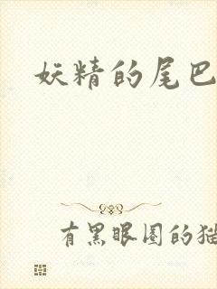 妖精的尾巴h