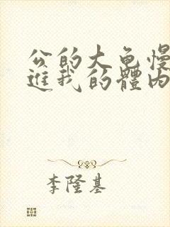 公的大龟慢慢挺进我的体内