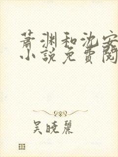 萧渊和沈安安的小说免费阅读