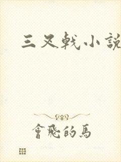 三叉戟小说封面