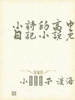 小诗的高中成长日记小说免费阅读